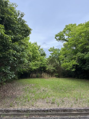 白子町北日当_売地の画像