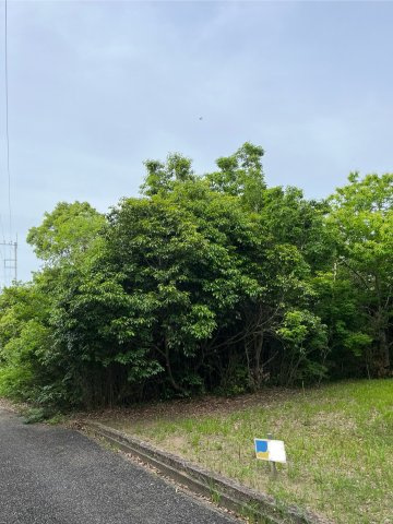 白子町北日当_売地の画像