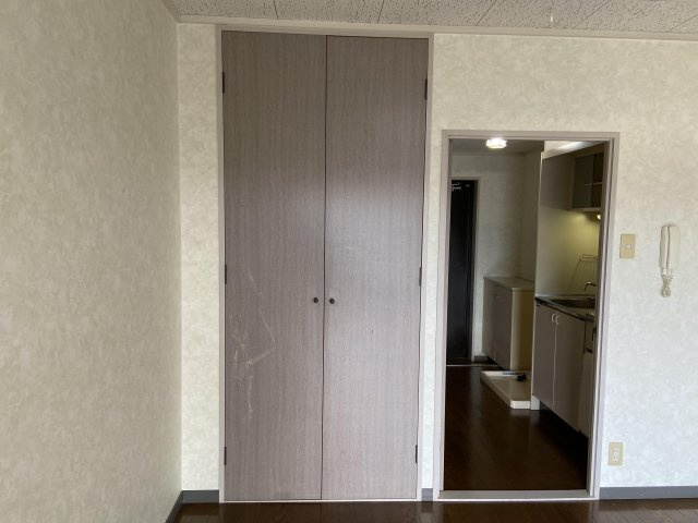 カーサー高村の収納