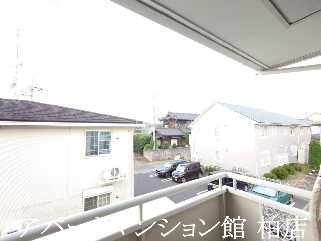 ジョイフローリッシュの展望