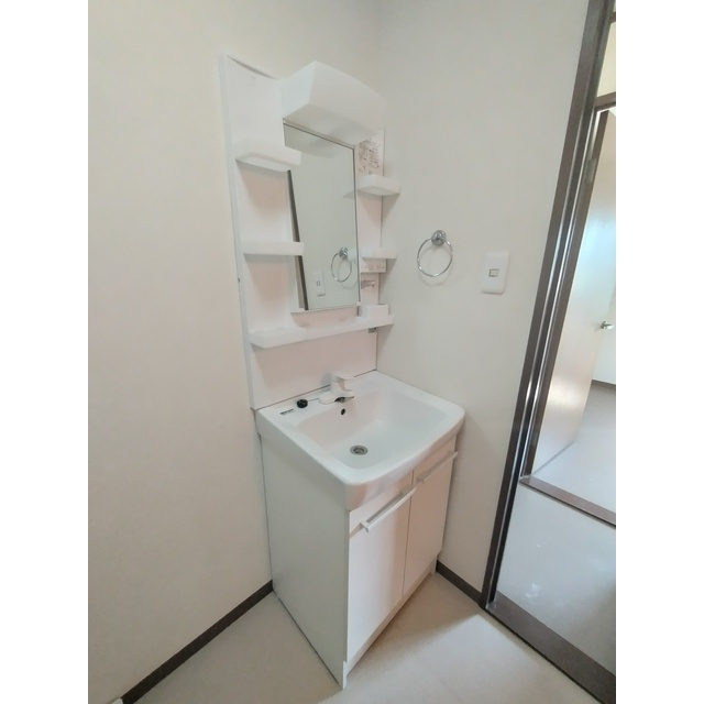 大長良川マンションの洗面所