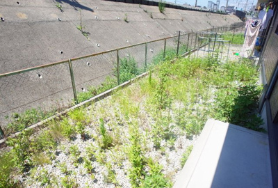 【庭】 | リバーハイム谷八木Ⅱ | 専用庭