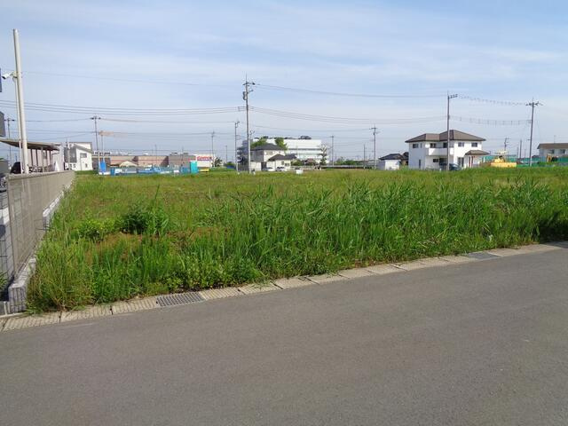 金田西31街区7-1　土地