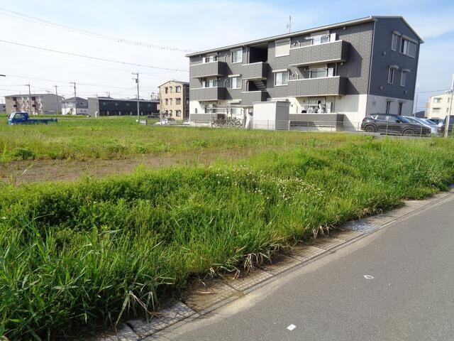 金田西31街区7-1　土地