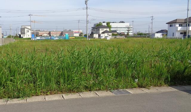 金田西31街区7-1　土地