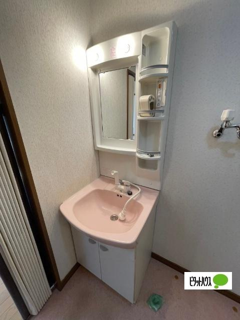 グリーンコート２０００Ｂの洗面所