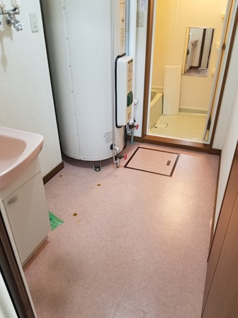 グリーンコート２０００Ｂの玄関