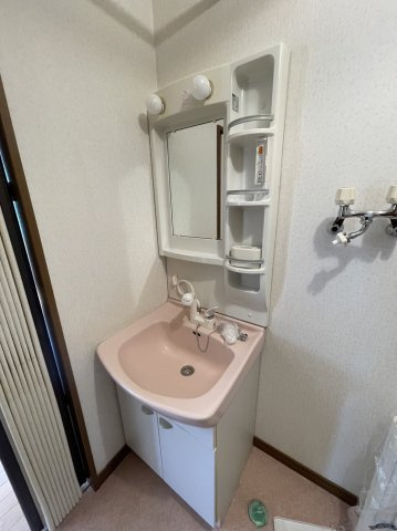 グリーンコート２０００Ａの洗面所