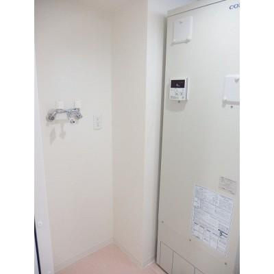 セントポプラの玄関