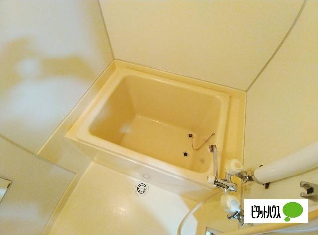 ハウス春の浴室