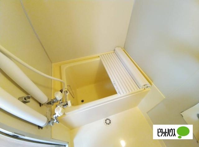 ハウス春の浴室