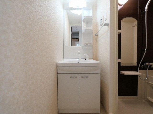 Luxe難波南の独立洗面台