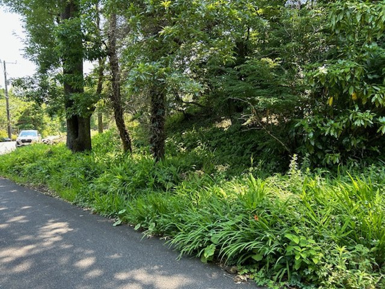 【外観】 | すいらん荘別荘地　売地