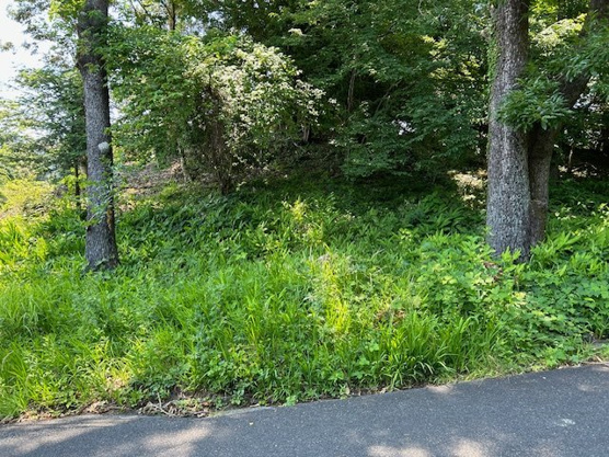  | すいらん荘別荘地　売地