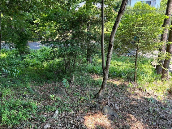  | すいらん荘別荘地　売地