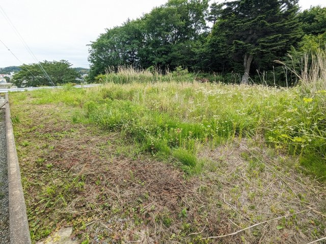 富岡町小浜497番地98