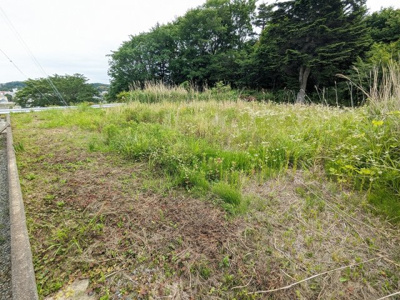  | 富岡町小浜497番地98