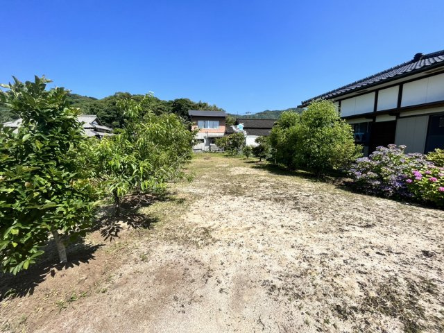 日奈久大坪町戸建の庭