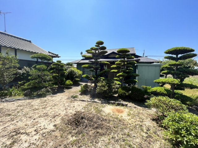 日奈久大坪町戸建の庭