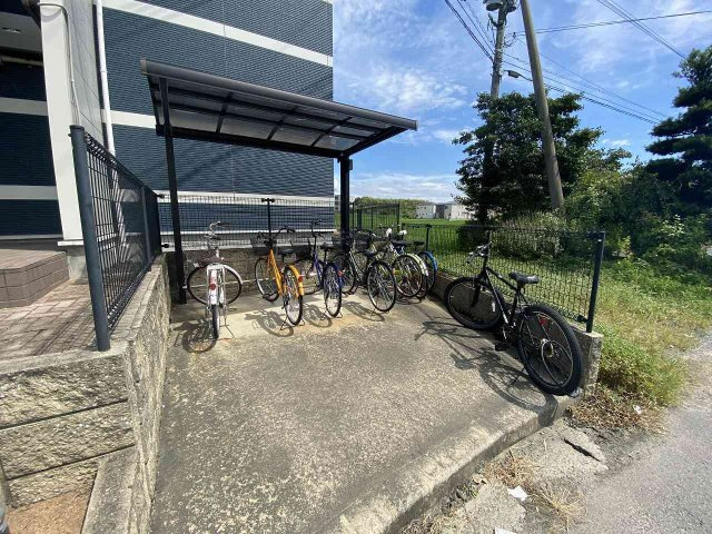 レオネクストアイリーブルーのその他