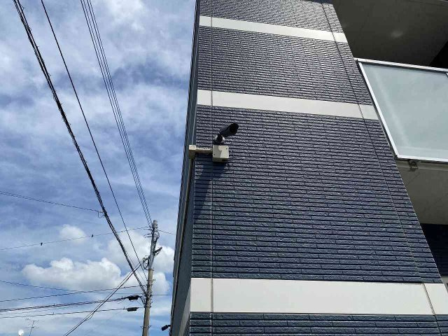 レオネクストアイリーブルーのその他