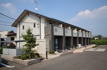 Cherry blossomの画像