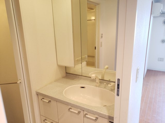 グランカーサ新小岩の洗面所