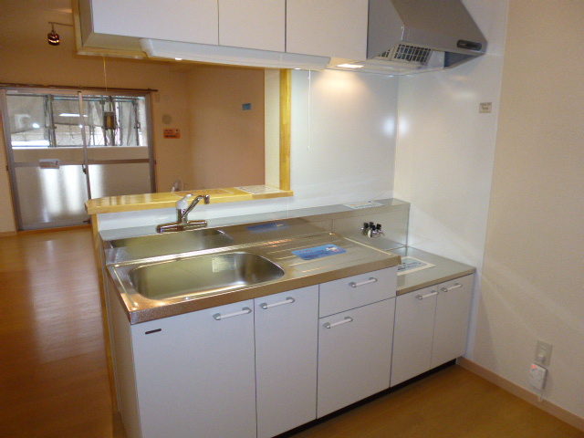 グランツ川辺のキッチン