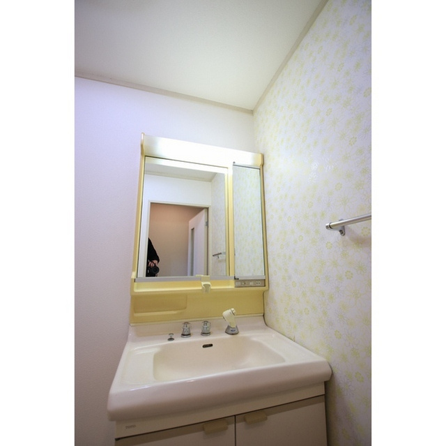 メゾン徳Ⅱの洗面所|洗面化粧台