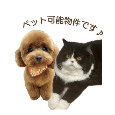  | ライオンズマンション川越南