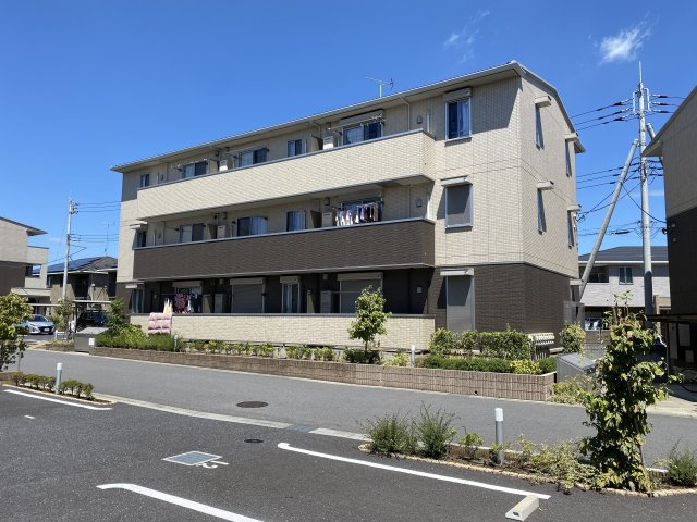 ゼピュロスみどりのC