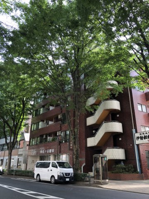 【外観】 | 阿佐谷グリーンハイツ