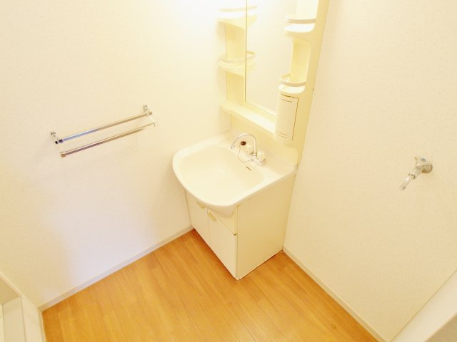 ツインズコートAの洗面所