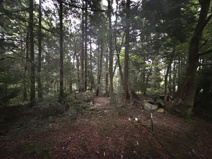 高島市安曇川町中野1032番7　売土地の画像