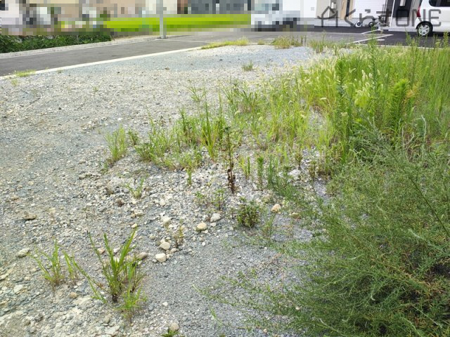 【外観】 | 姫路市勝原区山戸／売土地