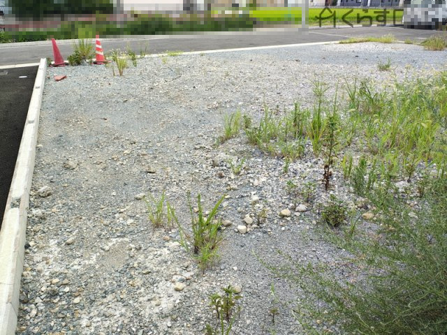 【外観】 | 姫路市勝原区山戸／売土地