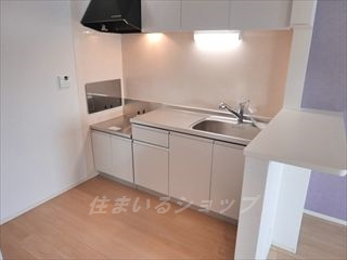 安芸高田市吉田町山手のアパートのキッチン|浄水器一体型シャワー水栓