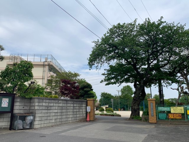 市川市国府台５丁目新築戸建【国府台小学校：2分】の周辺|国府台小学校まで徒歩2分