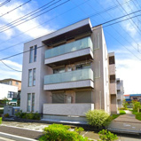 belle douceの画像