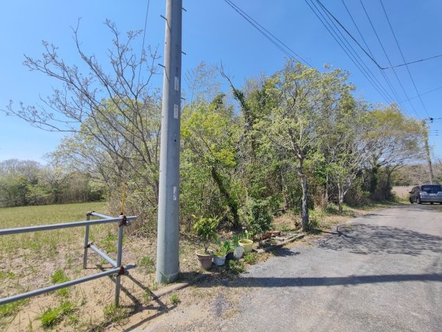 山武郡横芝光町　土地の外観