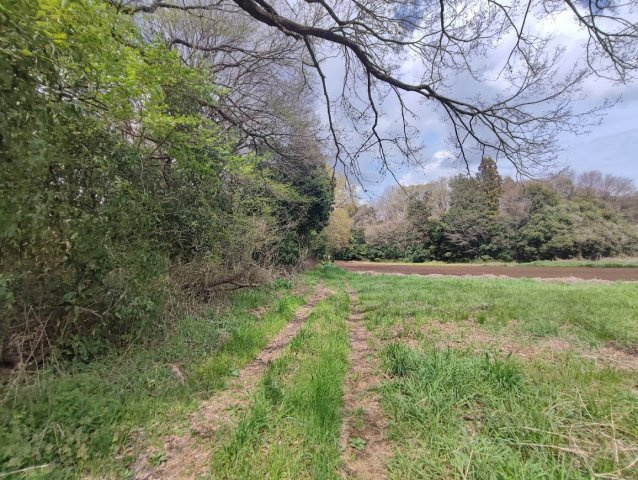 茨城県坂東市山　土地の外観