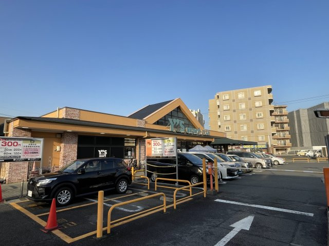 市川市北国分３丁目新築戸建（北国分６期）の周辺|ワイズマートまで300ｍ