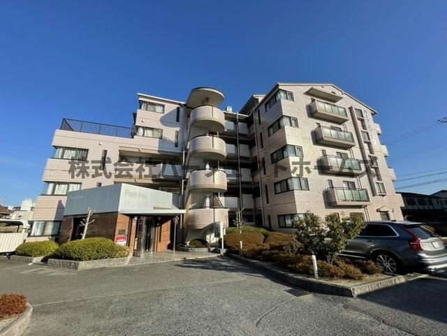 パープルソシア