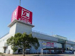 ひたちなか市道メキの売地の周辺|ショッピング施設