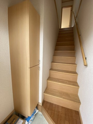 【その他】 | ドゥムールストレチア