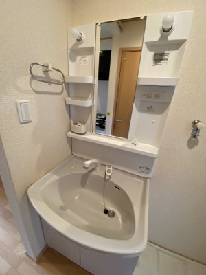 【洗面所】 | ドゥムールストレチア