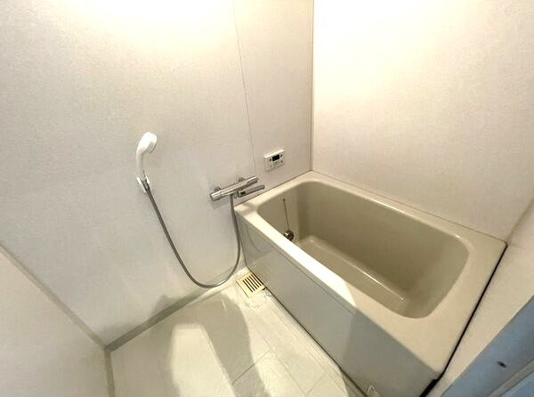 ヴィアーレマルフク南館の浴室