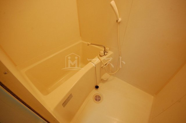 ロイヤルキャッスルの浴室