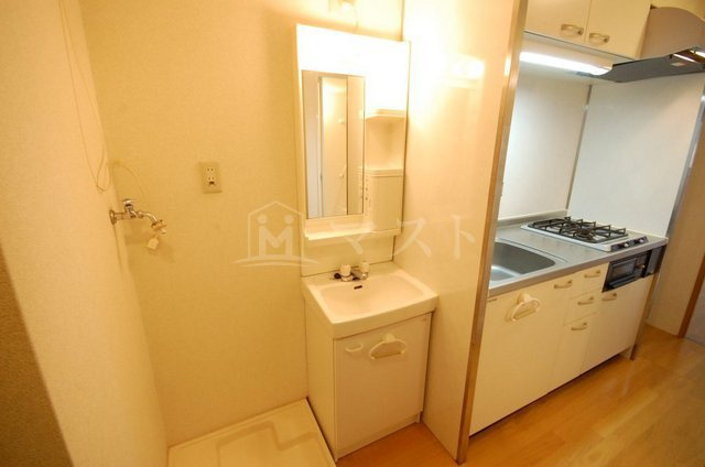 ロイヤルキャッスルの洗面所