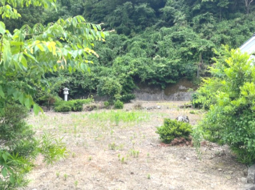 越前市村国1丁目132坪売地の外観